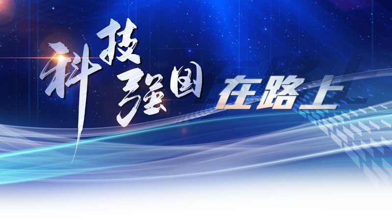 数据可视化配色模板分为多种类型，包括：